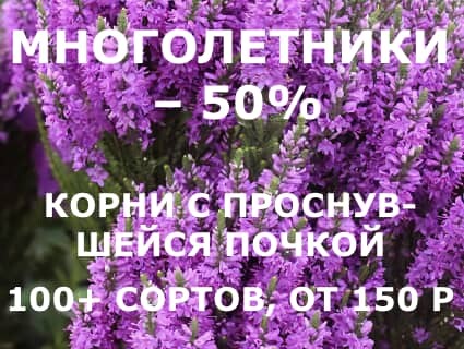 Купить товары для сада и огорода по низким ценам в Омске | Cеть магазинов «Живой сад»