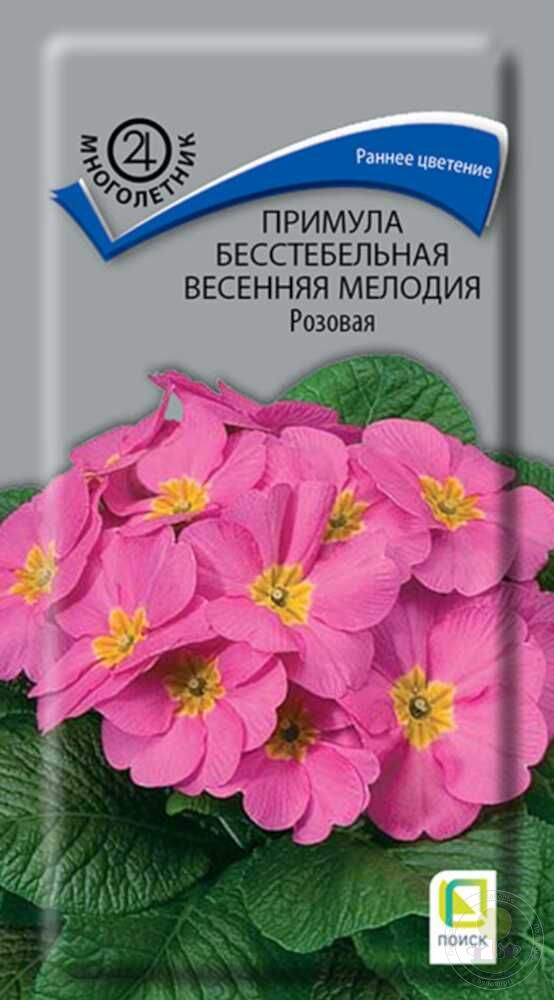 Семена примула бесстебельная. Примула Весенняя мелодия синяя. Семена примулы бесстебельная.